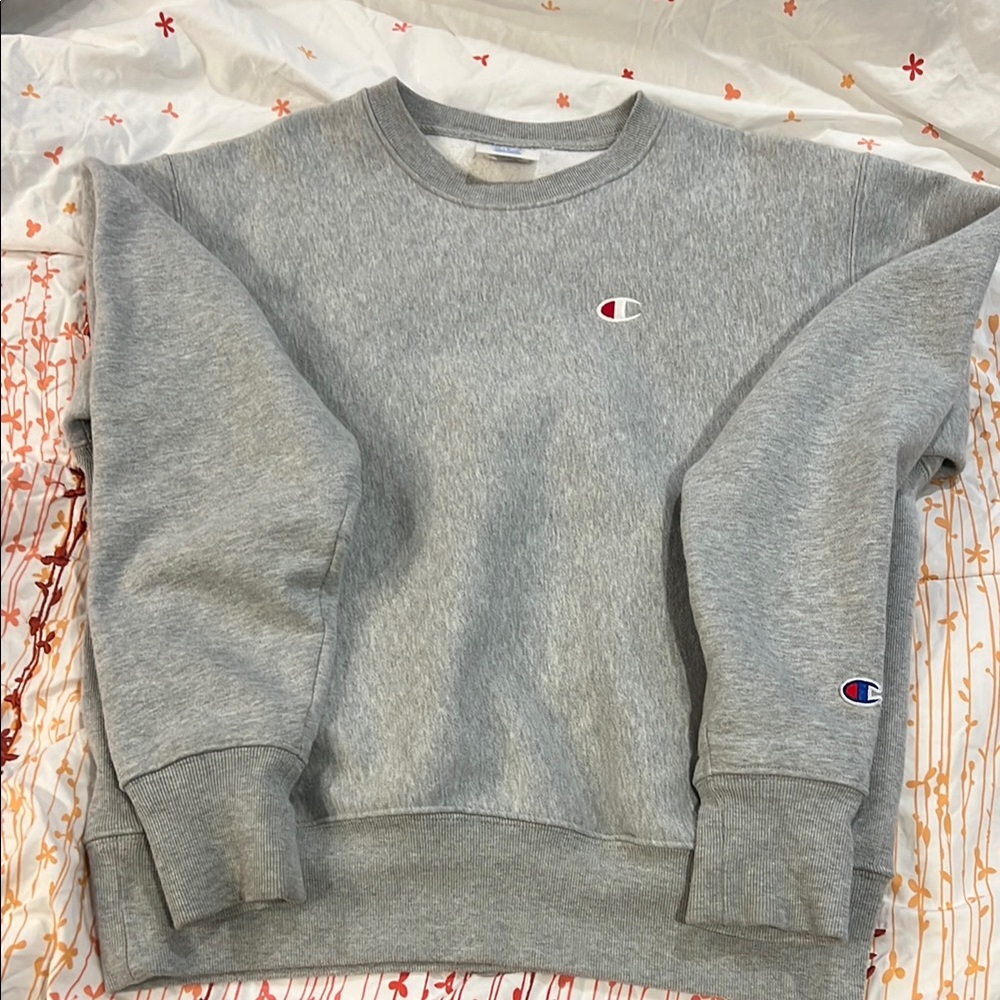 Champion Gray Sweatshirt